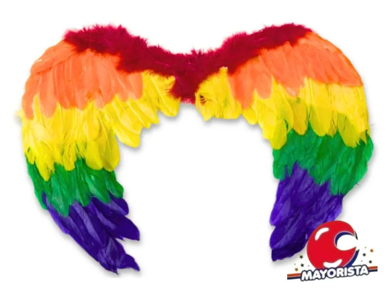 [7074] ALAS DE ANGEL CON PLUMAS MULTICOLOR 48X55CM (ZLE-CAL-04-01) ERIK