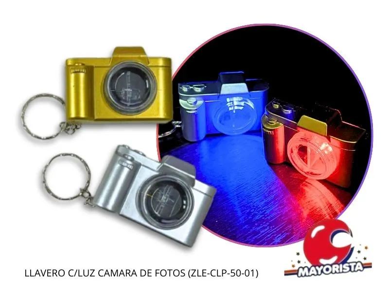 [5304] LLAVERO C/LUZ CAMARA DE FOTOS (ZLE-CLP-50-01) ERIK
