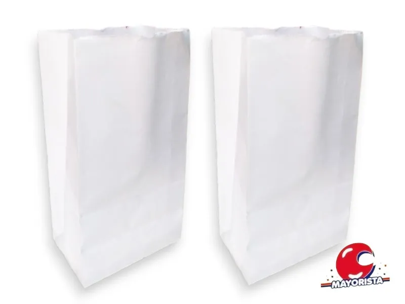 [1384] BOLSITA PAPEL X 10 BLANCA 15X25X8 (EVACOR)