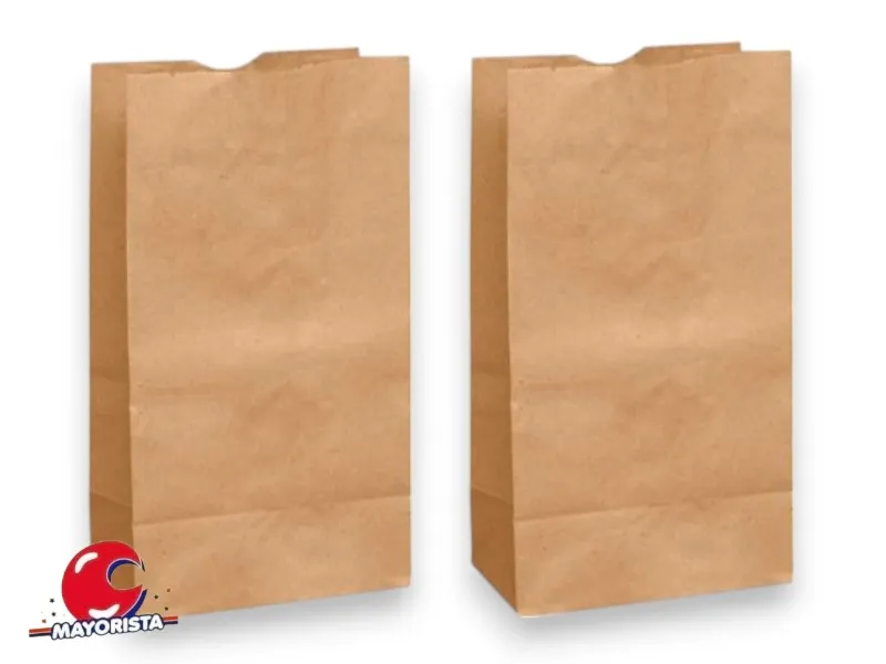 [7685] BOLSITA PAPEL X 10 NATURAL LISA 15X25X8 SPACE